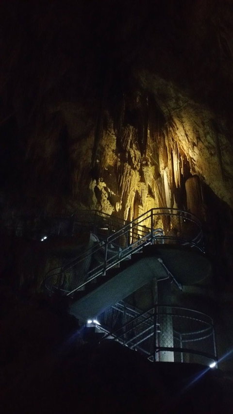 Small-group DayTour From Hobart: Hastings Caves, Huon Valley And Tahune AirWalk - Whitsundays Accommodation 4
