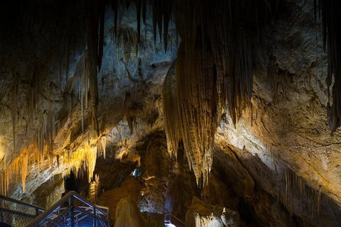 Small-group DayTour From Hobart: Hastings Caves, Huon Valley And Tahune AirWalk - Whitsundays Accommodation 19
