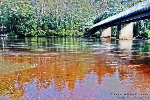 Small-group DayTour From Hobart: Hastings Caves, Huon Valley And Tahune AirWalk - Whitsundays Accommodation 17