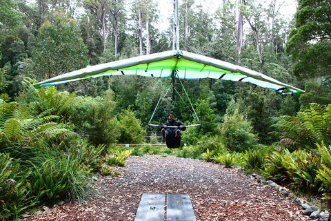 Small-group DayTour From Hobart: Hastings Caves, Huon Valley And Tahune AirWalk - Whitsundays Accommodation 10