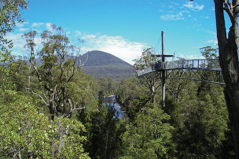 Small-group DayTour From Hobart: Hastings Caves, Huon Valley And Tahune AirWalk - Whitsundays Accommodation 9
