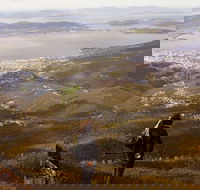 Mt Wellington Half Day Guided Summit Hike - Whitsundays Accommodation