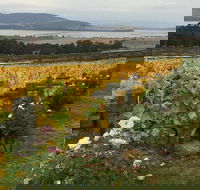Mona and Wine Experience Tour - Whitsundays Accommodation
