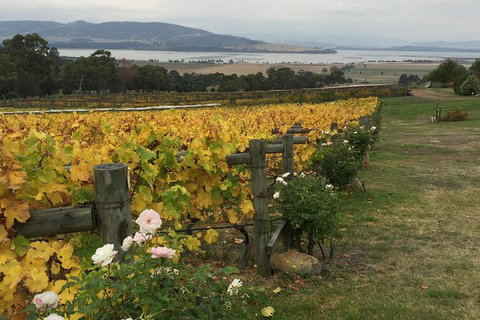 Mona And Wine Experience Tour - Whitsundays Accommodation 0