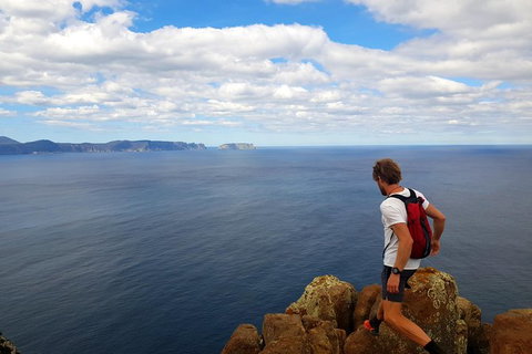 2-Day: Hobart Adventure Tour: Maria Island National Park And Cape Raoul Hike - Whitsundays Accommodation 1