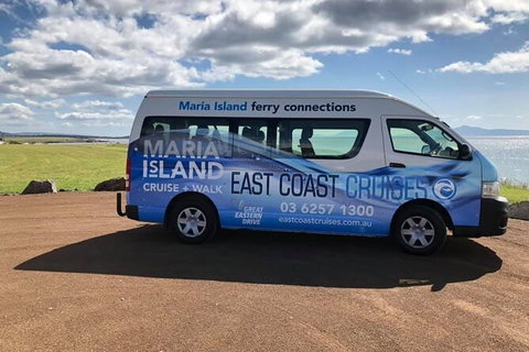 Maria Island Shuttle Bus Hobart To Triabunna (Round Trip) - Whitsundays Accommodation 5