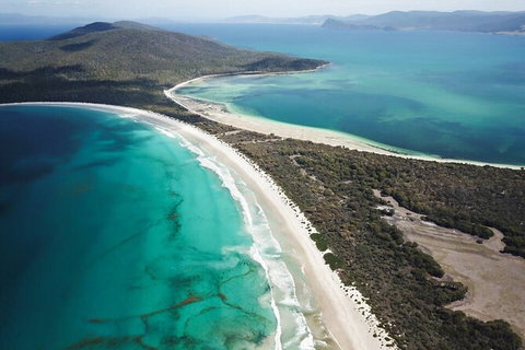 Maria Island Shuttle Bus Hobart To Triabunna (Round Trip) - Whitsundays Accommodation 10
