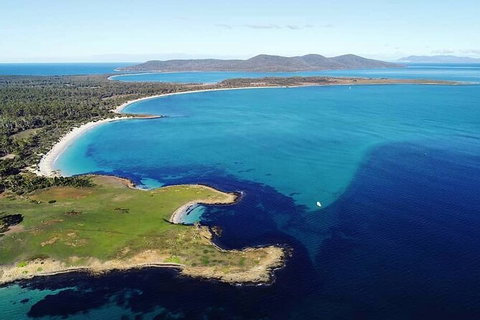 Maria Island Shuttle Bus Hobart To Triabunna (Round Trip) - Whitsundays Accommodation 9
