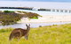 Maria Island Shuttle Bus Hobart To Triabunna (Round Trip) - thumb 8