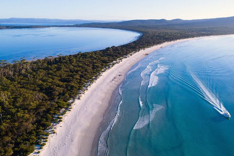 Maria Island Shuttle Bus Hobart To Triabunna (Round Trip) - Whitsundays Accommodation 6