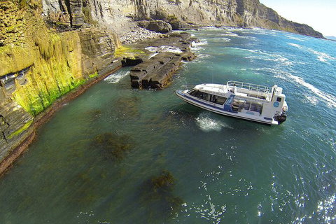 Maria Island Shuttle Bus Hobart To Triabunna (Round Trip) - Whitsundays Accommodation 3