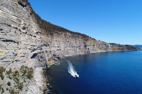 Maria Island Shuttle Bus Hobart To Triabunna (Round Trip) - Whitsundays Accommodation 11