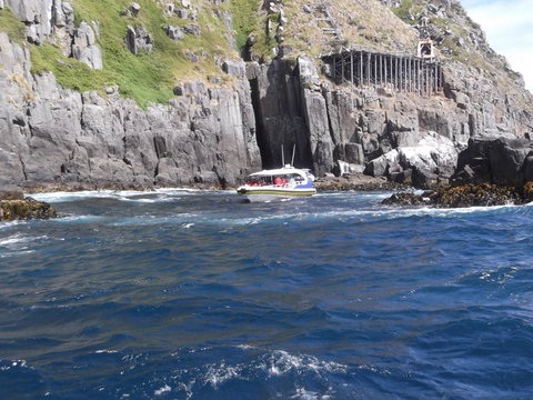 Day Trip To Tasman Peninsula And Port Arthur Historic Site From Hobart - Whitsundays Accommodation 5