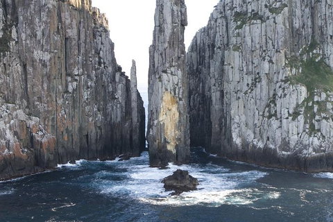 Day Trip To Tasman Peninsula And Port Arthur Historic Site From Hobart - Whitsundays Accommodation 0