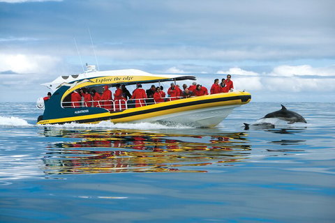 Day Trip To Tasman Peninsula And Port Arthur Historic Site From Hobart - Whitsundays Accommodation 10