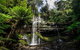 3-Day West Coast Tasmania Tour From Hobart Including Cradle Mountain, Montezuma Falls And Strahan - thumb 3