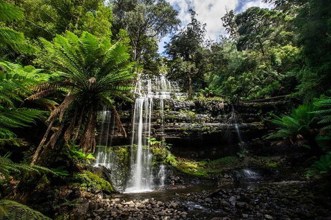 3-Day West Coast Tasmania Tour From Hobart Including Cradle Mountain, Montezuma Falls And Strahan - Whitsundays Accommodation 3