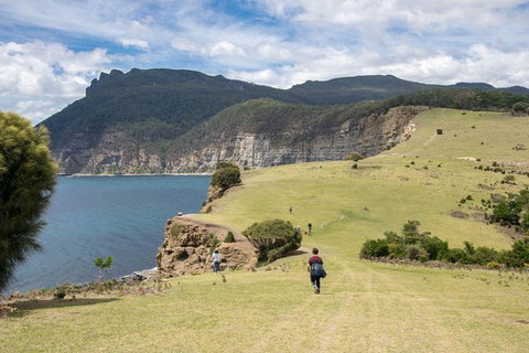Maria Island National Park - Day Walk And Picnic Lunch - Whitsundays Accommodation 0