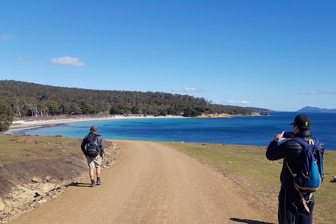 Maria Island National Park - Day Walk And Picnic Lunch - Whitsundays Accommodation 14