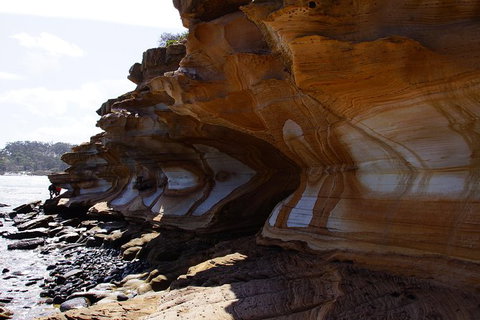 Maria Island National Park - Day Walk And Picnic Lunch - Whitsundays Accommodation 17