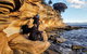 Maria Island National Park - Day Walk And Picnic Lunch - thumb 22