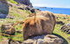 Maria Island National Park - Day Walk And Picnic Lunch - thumb 13