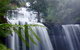 Mt. Field National Park And Bonorong Wildlife Park - thumb 1