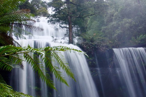 Mt. Field National Park And Bonorong Wildlife Park - Whitsundays Accommodation 1