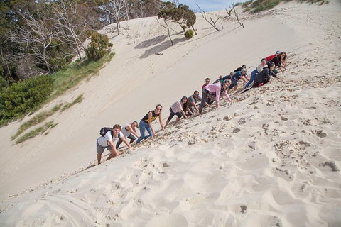 3 Day Tasmanian Wild West Coast Tour From Hobart To Launceston - Whitsundays Accommodation 1