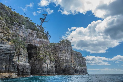 Shore Excursion - Port Arthur - Tasman Peninsula - Whitsundays Accommodation 1