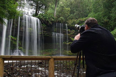 Mt Field And Styx Valley Photography Tour - Whitsundays Accommodation 0