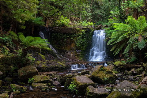 Mt Field And Styx Valley Photography Tour - Whitsundays Accommodation 3