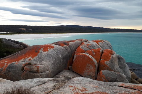 3-Day Bay Of Fires Photography Workshop From Hobart - Whitsundays Accommodation 3
