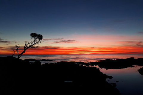3-Day Bay Of Fires Photography Workshop From Hobart - Whitsundays Accommodation 5