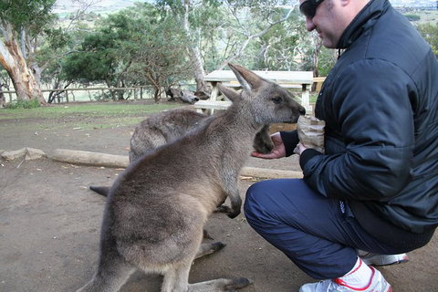 Small-group Tour From Hobart: Native Flora And Fauna, Incl. Royal Bot. Gardens - Whitsundays Accommodation 1