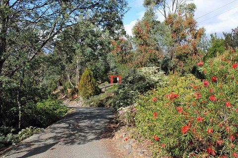 Small-group Tour From Hobart: Native Flora And Fauna, Incl. Royal Bot. Gardens - Whitsundays Accommodation 11
