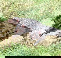 Day Keeper Tour - Whitsundays Accommodation