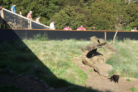 Day Keeper Tour - Whitsundays Accommodation 1