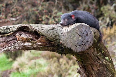 Day Keeper Tour - Whitsundays Accommodation 8