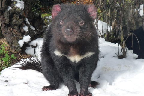 Day Keeper Tour - Whitsundays Accommodation 3