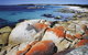 Highlights Of Tasmania 5-Day Small-Group Tour From Hobart - thumb 1
