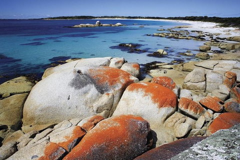 Highlights Of Tasmania 5-Day Small-Group Tour From Hobart - Whitsundays Accommodation 1