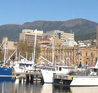 Private Mt Wellington Richmond Bonorong Wildlife Sanctuary Tour from Hobart - Whitsundays Accommodation