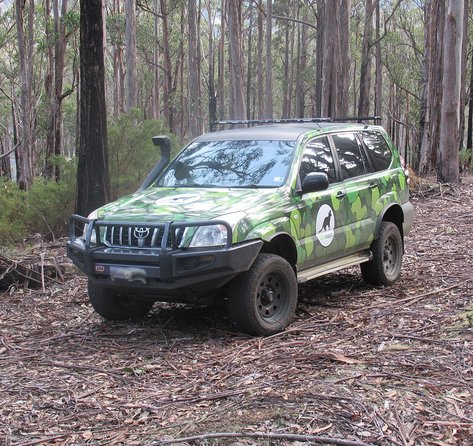Wildlife Day Tour (4+ Hours, $195 Per Person) - Whitsundays Accommodation 6