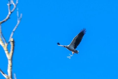 Wildlife Day Tour (4+ Hours, $195 Per Person) - Whitsundays Accommodation 11