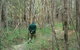 Wildlife Day Tour (4+ Hours, $195 Per Person) - thumb 12