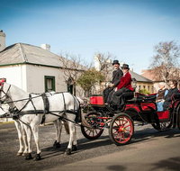 Trot Through Time - Whitsundays Accommodation