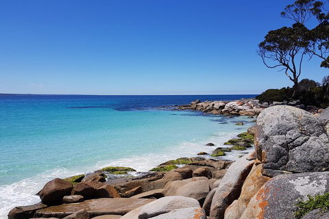 Tasmania 4 Day East Coast + Launceston - Whitsundays Accommodation 0