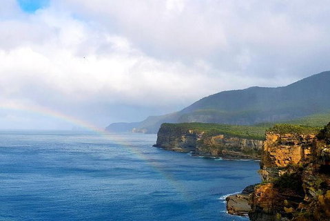 Tasmania 4 Day East Coast + Launceston - Whitsundays Accommodation 7