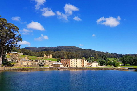 Tasmania 4 Day East Coast + Launceston - Whitsundays Accommodation 12